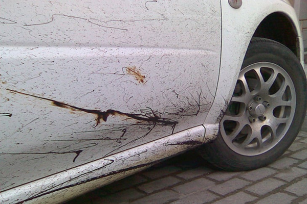 tẩy nhựa đường