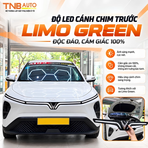 Led cánh chim trước Limo Green