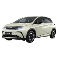 Phụ kiện và đồ chơi BYD Dolphin