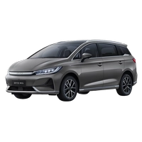 Phụ kiện và đồ chơi BYD M6