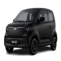 Phụ kiện và đồ chơi VF2