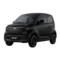 Phụ kiện và đồ chơi VF2