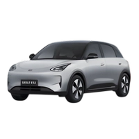 Phụ kiện và đồ chơi Geely EX2